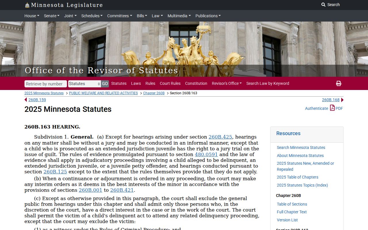 Freeborn County criminal court docket juvenile hearing access statute