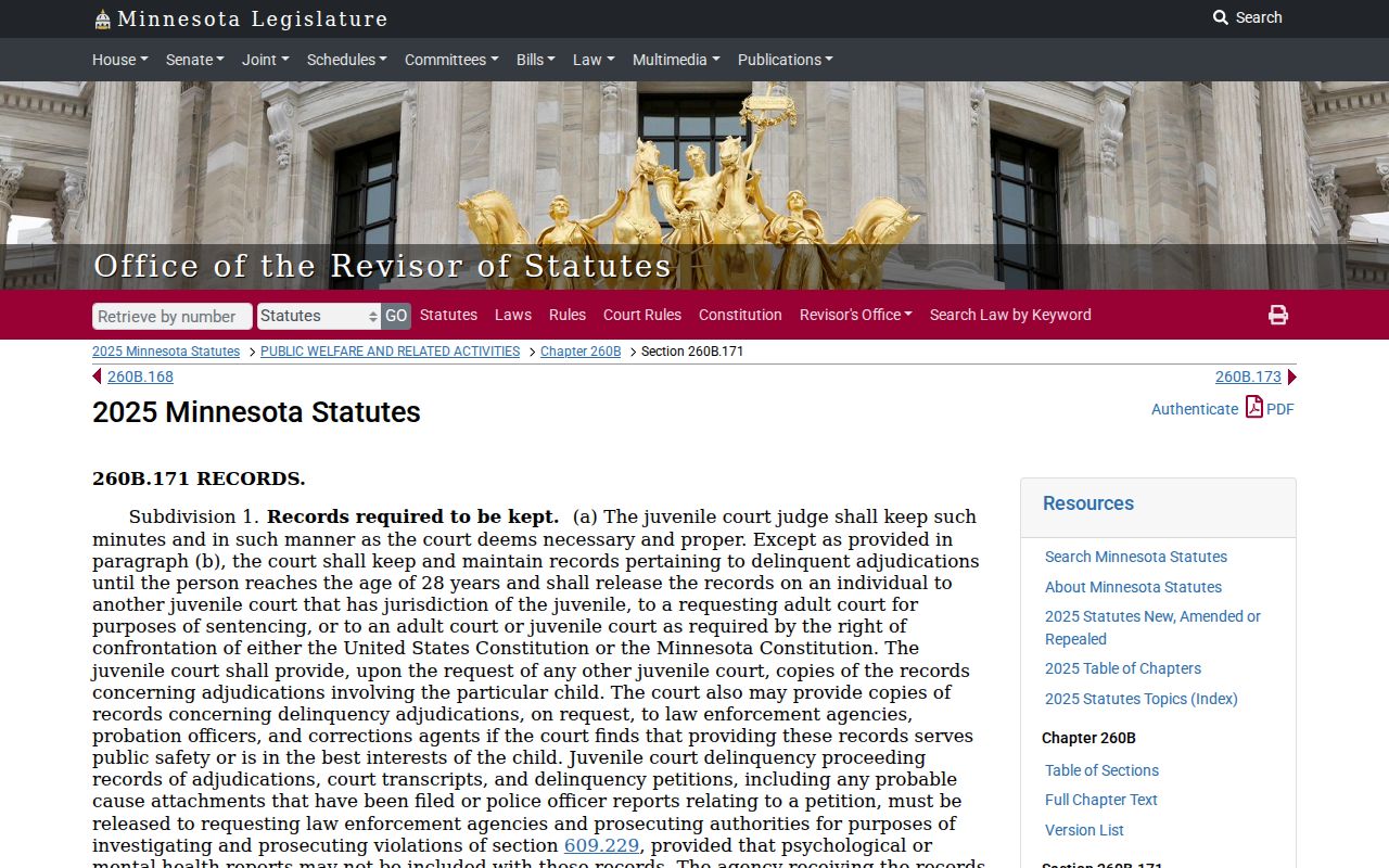 Freeborn County criminal court docket juvenile record access statute