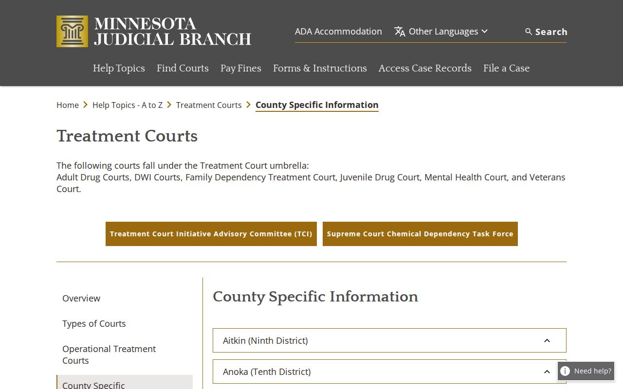 Freeborn County criminal court docket Third Judicial District treatment court information